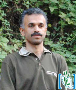 behzad_zabihi